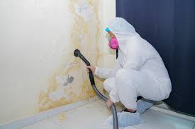 Best Environmental Consulting for Mold Prevention  in Alameda, CA